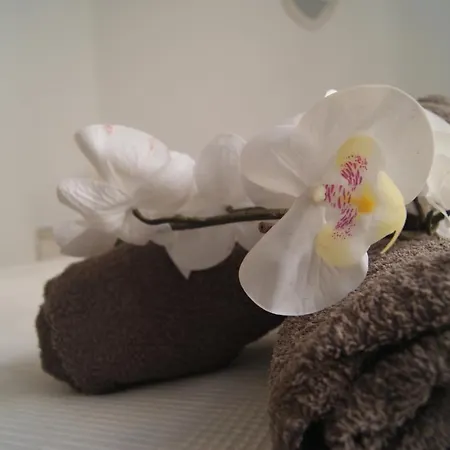Apartamento Cdz - Carmen Coronada *